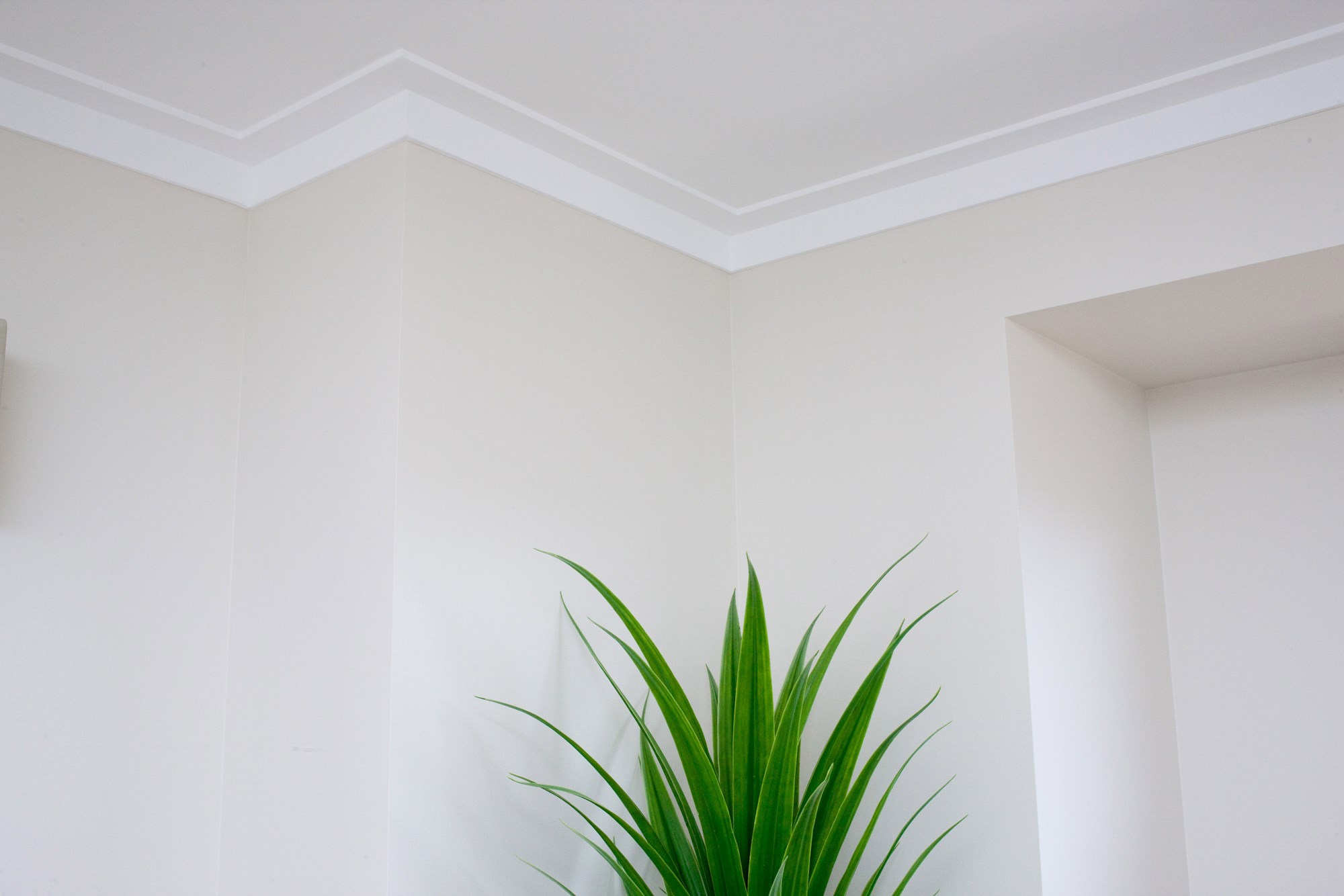 /content/userfiles/images/products/Cornice/Linear (9).jpg